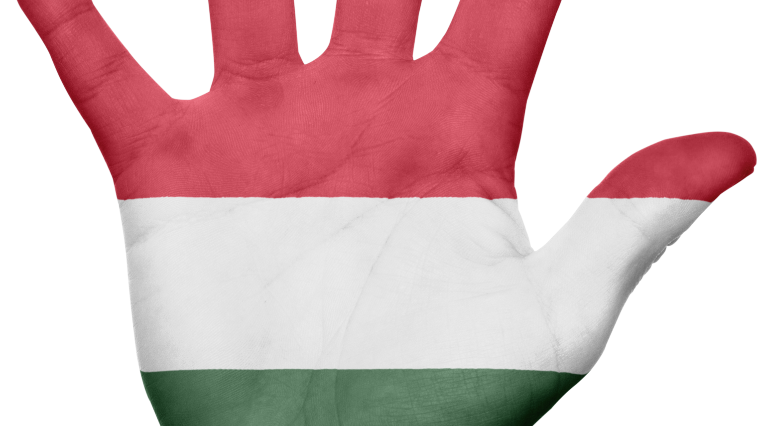 Ungarn,Flagge,Außenwirtschaft,Hand,Europa