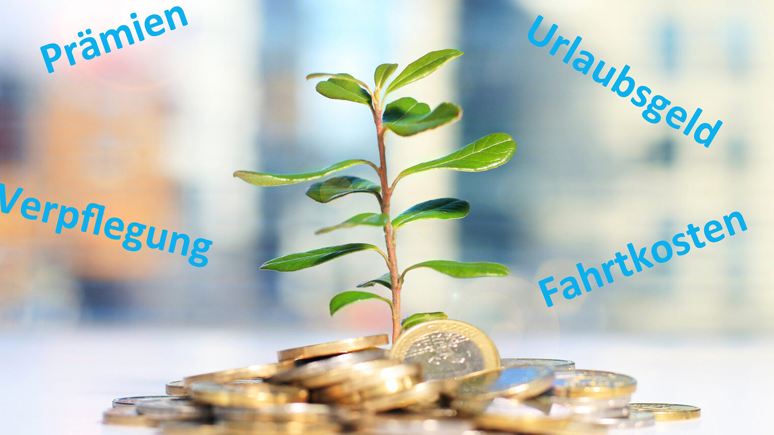 Successful investment. Plant and coins on table. Schlagwort(e): plant, growth, investment, business, success, seed, grow, invest, banking, bank, branch, background, care, cash, coin, concept, currency, earnings, economic, euro, europe, finance, flower, gold, green, heap, help, ideas, interest, loan, many, market, monetary, money, nature, pile, progress, savings, symbol, tree, wealth