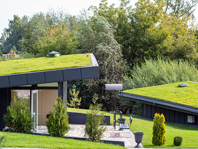 Grünes Dach Umwelt Förderprogramm