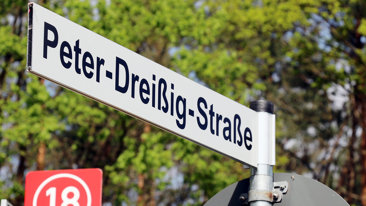 Peter Dreißig Straße