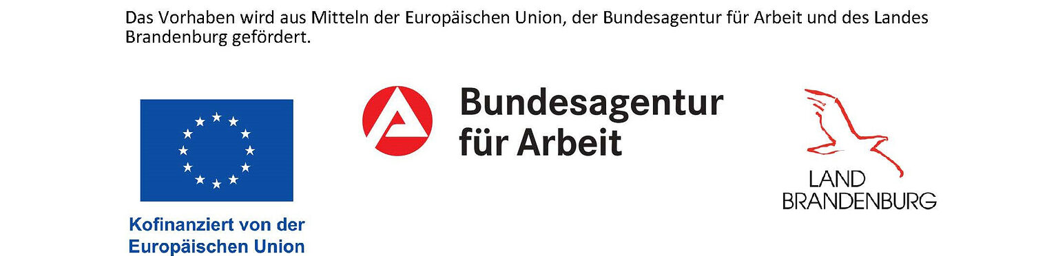 Berufsorientierung Landingpage 5