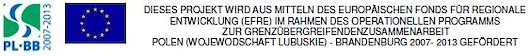 Logoleiste Projekt Polnische Fachkräfte Deutsch