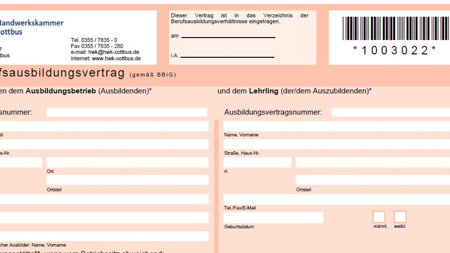 Lehrvertrag online