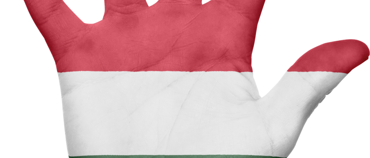 Ungarn,Flagge,Außenwirtschaft,Hand,Europa