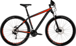 Familientag Preis Fahrrad