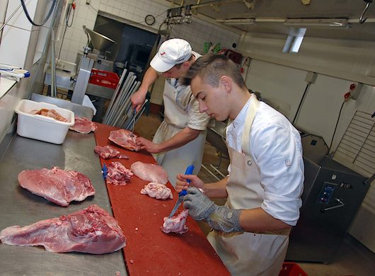 Französische Lehrlinge lernen in Südbrandenburg