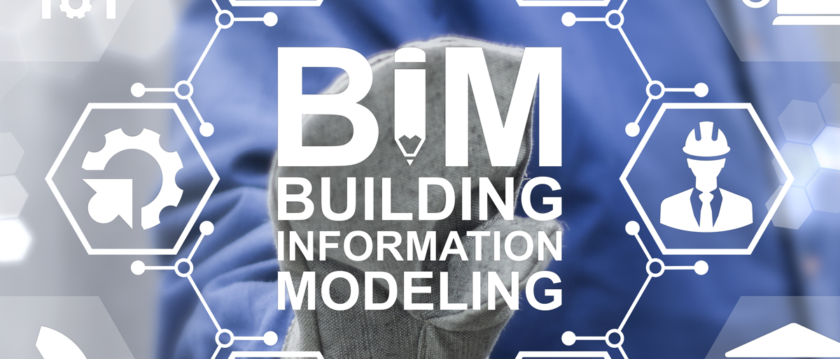 BIM