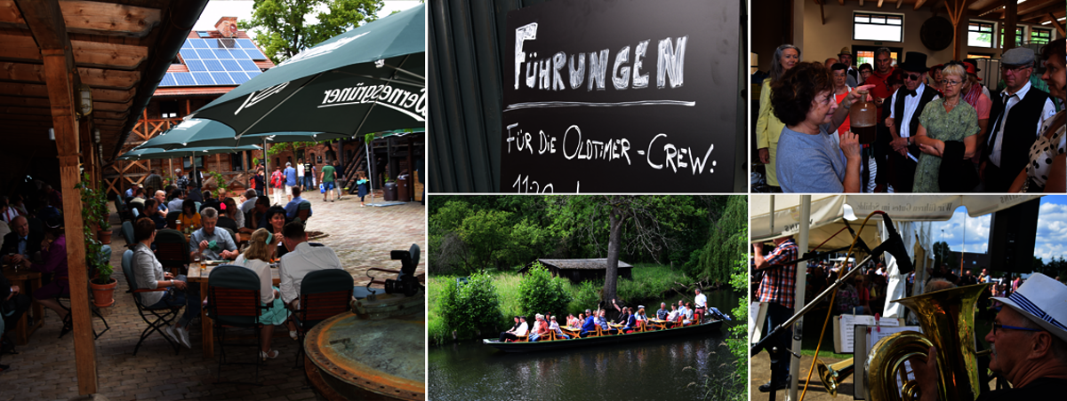 Spreewald Gurken 2017
