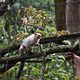 Handwerkskammer und Tierpark weihen Hexenhaus ein