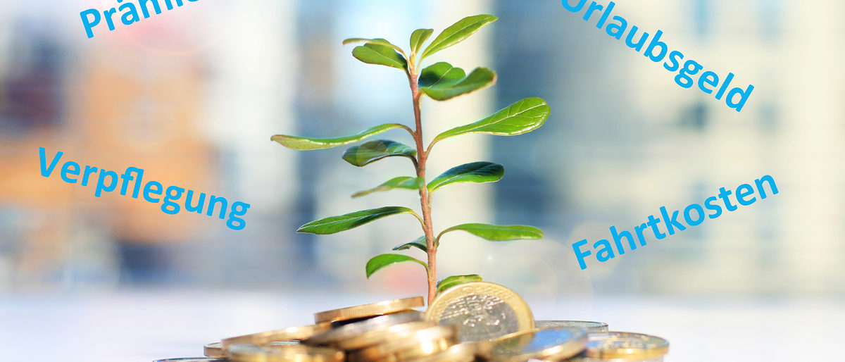 Successful investment. Plant and coins on table. Schlagwort(e): plant, growth, investment, business, success, seed, grow, invest, banking, bank, branch, background, care, cash, coin, concept, currency, earnings, economic, euro, europe, finance, flower, gold, green, heap, help, ideas, interest, loan, many, market, monetary, money, nature, pile, progress, savings, symbol, tree, wealth