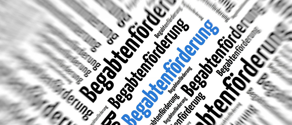 Begabtenförderung