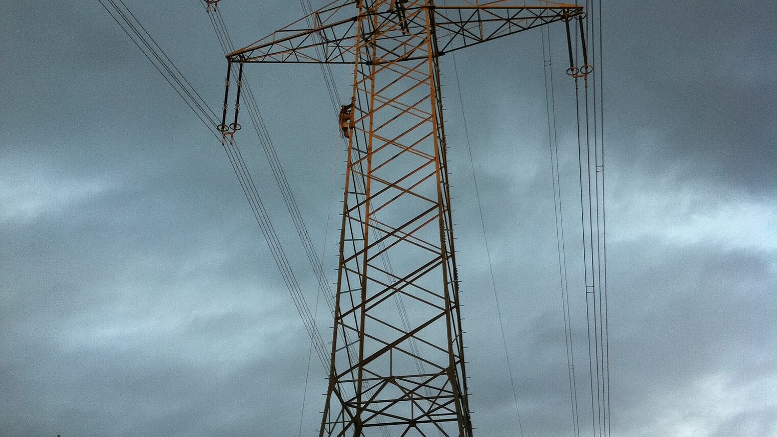 Sanierung von Freileitungen, Brandenburger Umweltsiegel