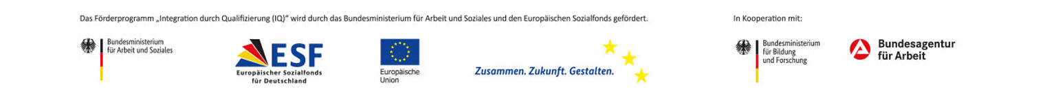 Logoleiste IQ Beratung Netzwerk